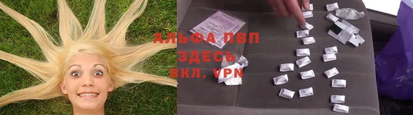 дживик Балахна