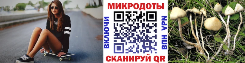 Псилоцибиновые грибы прущие грибы  Хасавюрт 